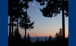 Moon and sunset seen from Lot 15 at Blue Sky Circle