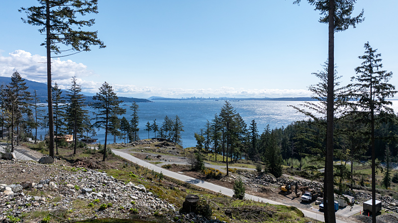 View-from-818-McIntosh-Ln-Lot-2