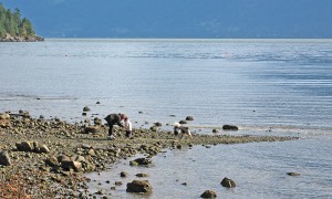 Explore Bowen's beaches